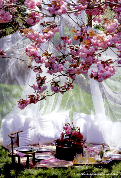 spring picnic the lane wedding inspiration, picnic wedding, cherry blossom